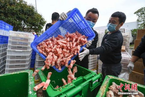 长沙一企业集中处理3吨过期食品