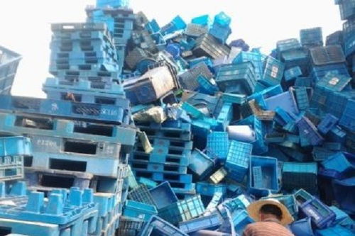 北京什刹海冷冻食品销毁报价