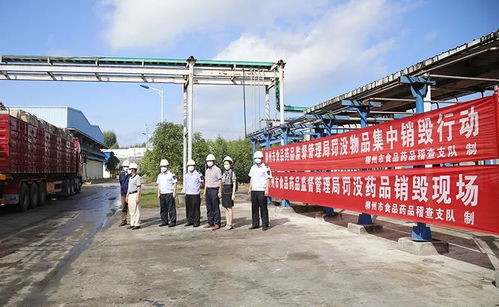 柳州市食品药品稽查支队集中销毁 一批不合格罚没食品药品