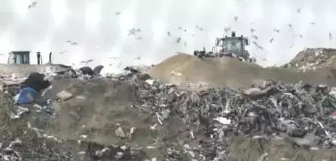 资讯 | 卖不掉也不捐!亚马逊销毁大量滞销商品