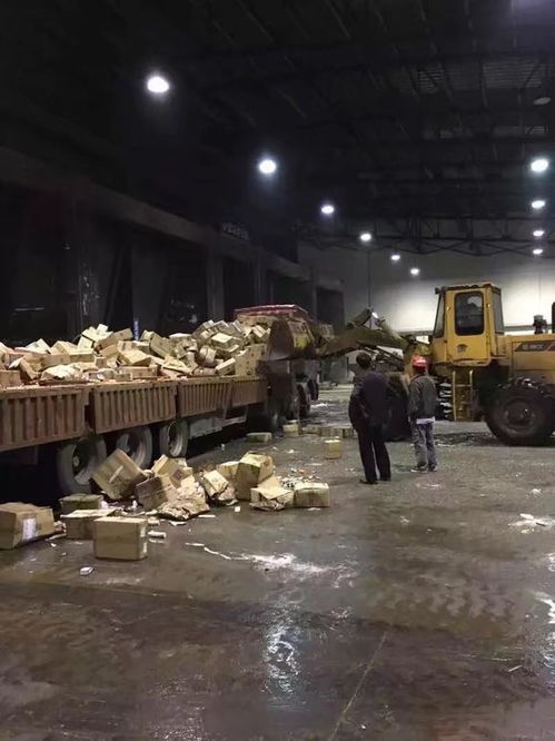 嘉兴变质化妆品护肤品销毁处理 嘉兴销毁大批报废食品焚烧处置