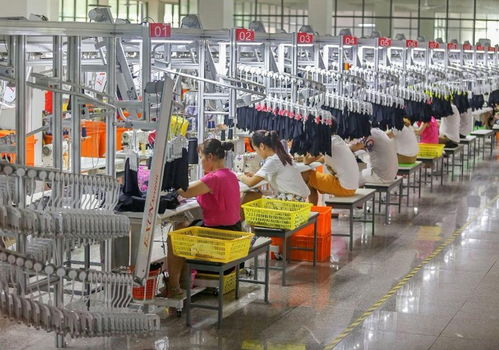 麻城一般工业固废销毁中心 专业出具销毁报告的可靠合作伙伴