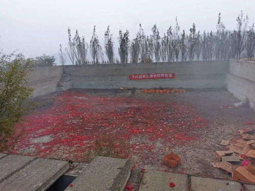 深夜紧急救援 晋城儿童中毒与男子被困销毁中心事件纪实